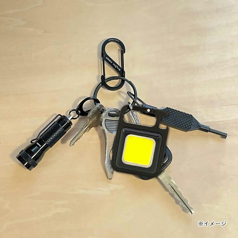 USB充電式ワークライトミニカラビナ付き ブラック 30736(販売終了