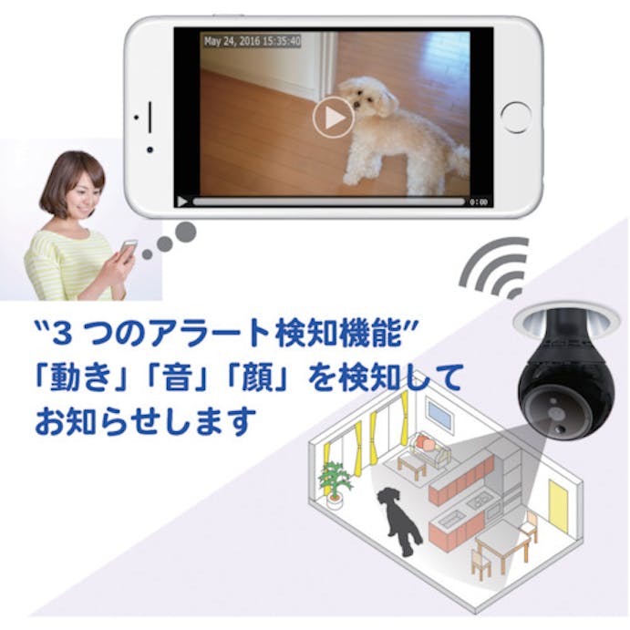 【CAINZ-DASH】ダブリュー・ビィ・ジャパン ３６０度自動追尾カメラ　ＰｌｕｇＩｎＣａｍ　ＲＯＢＯＴ　２１０×１００ PIC-360【別送品】