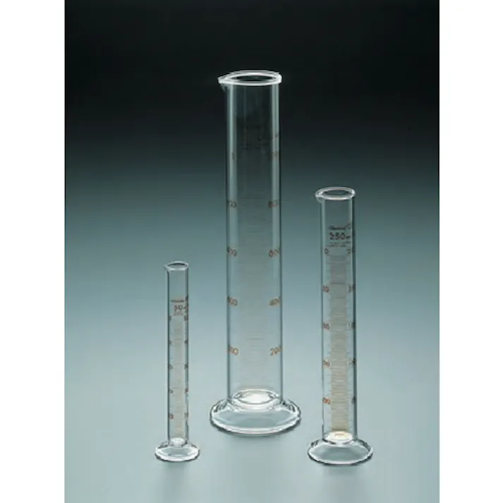 【CAINZ-DASH】クライミング 2010 メスシリンダー 500ML 2010-10-10【別送品】
