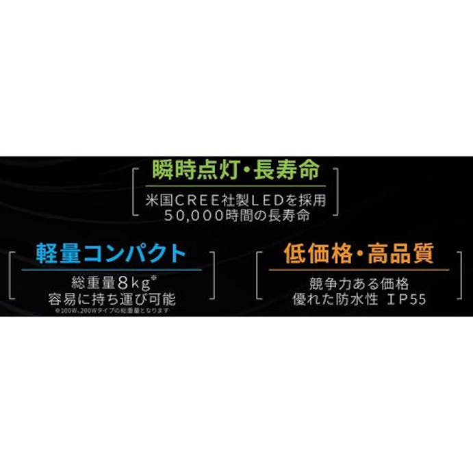 【CAINZ-DASH】永興電機工業 シャインボール（１００Ｗタイプ・１４０００ｌｍ） BL00A016【別送品】