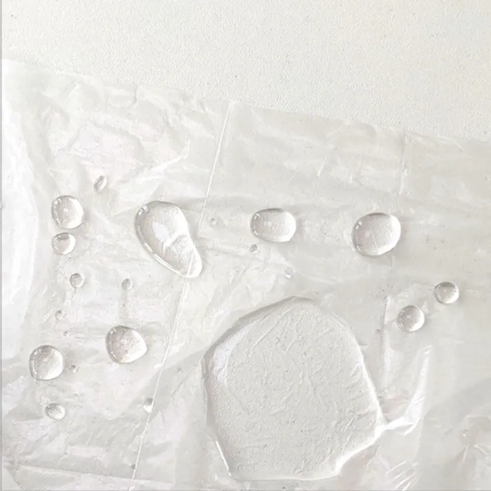 【CAINZ-DASH】セーフラン安全用品 使い捨て養生ポリシート 200×200cm J2373【別送品】