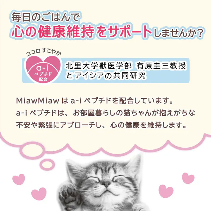 MiawMiaw ジューシー 香るおかか 60g