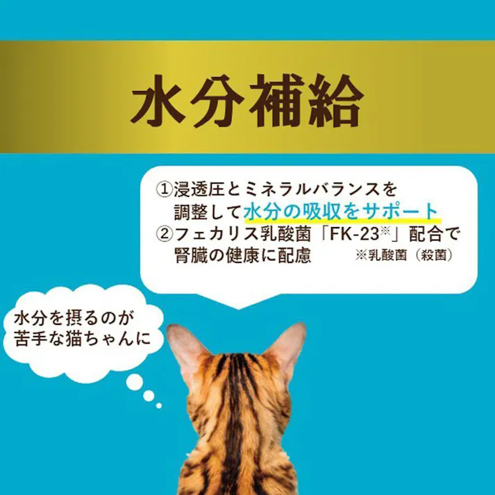 i CARE 水分補給 まぐろペースト 35g