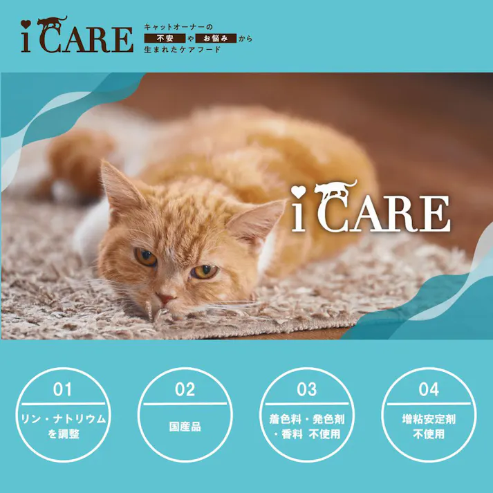 i CARE 腎臓ケア かつおペースト 35g