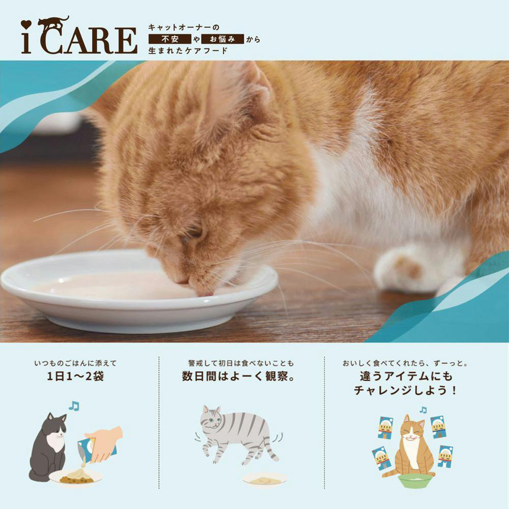 i CARE 食物アレルギーケア ささみスープ 35g | キャットフード 通販