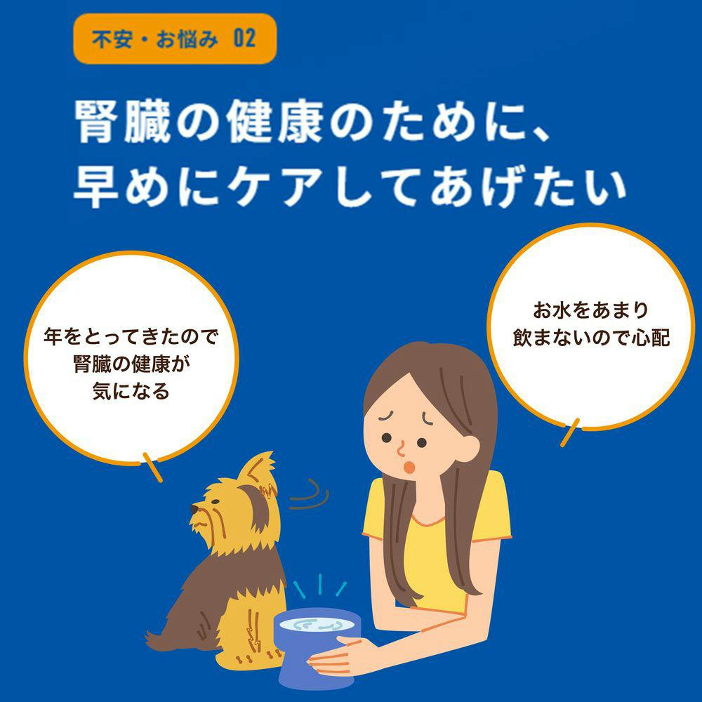 i CARE 犬用 腎臓ケア ささみ とろみタイプ 40g | ドッグフード 通販