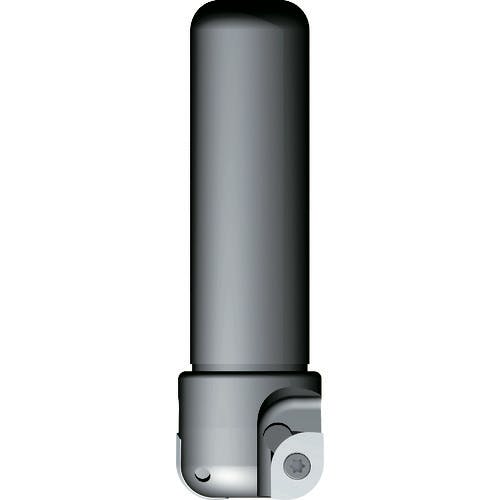 富士元工業 フライス工具 デカスミ 8R~10R DC32-40ALR フライス工具 富士元工業 フライス工具 デカスミ 8R~10R DC32-40ALR フライス工具