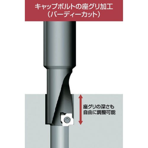 富士元 座グリ加工用チップ M6 超硬M種 NK2020 富士元 XX31MNXM6 切削