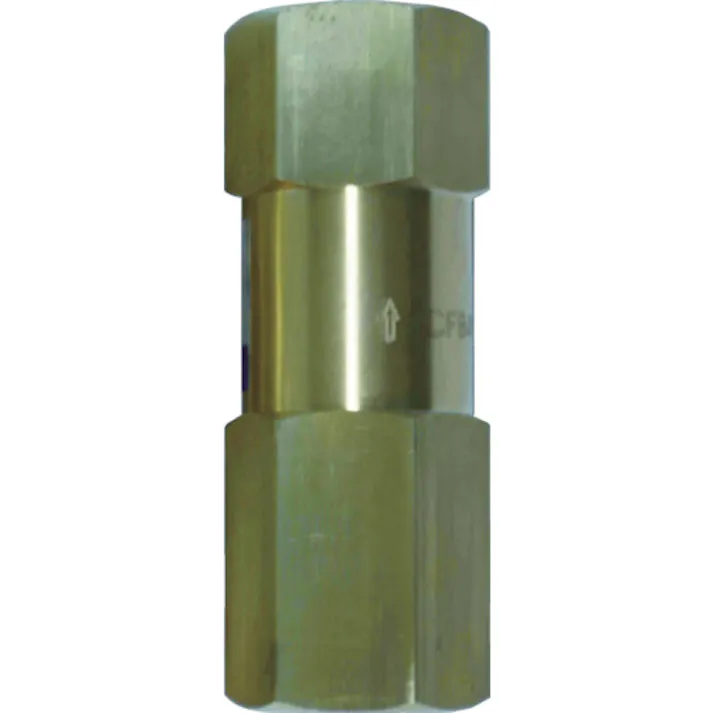 【CAINZ-DASH】日本精器 高圧ラインチェック弁 25A BN-9L21H-25-CFB-V【別送品】