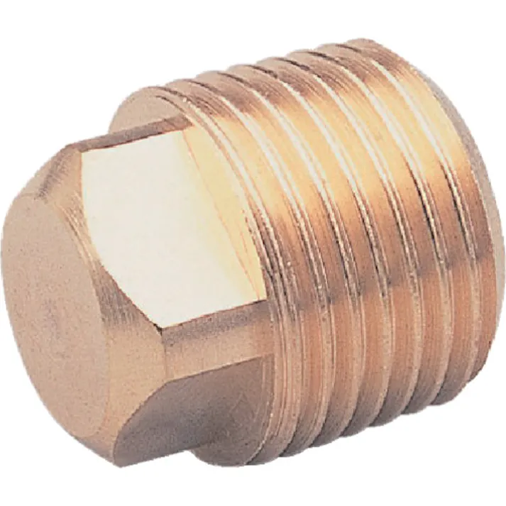 【CAINZ-DASH】アソー 四角プラグ PT1/8 NP-1001【別送品】