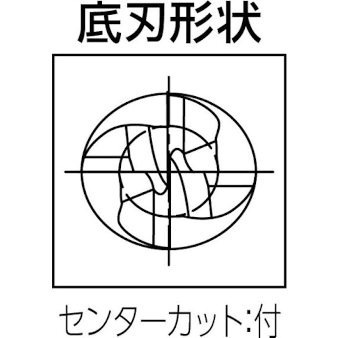 【CAINZ-DASH】グーリングジャパン ラフィングエンドミル（４枚刃）　刃径６ｍｍ 3723 006.000【別送品】