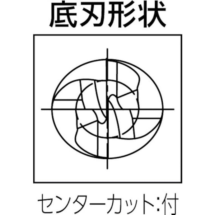 【CAINZ-DASH】グーリングジャパン ラフィングエンドミル（４枚刃）　刃径１２ｍｍ 3723 012.000【別送品】