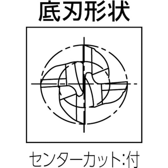 【CAINZ-DASH】グーリングジャパン 超硬スクエアエンドミル　マルチリードＲＦ１００Ｆ　軟鋼用４枚刃レギュラー刃径　４ｍｍ 3629 004.000【別送品】