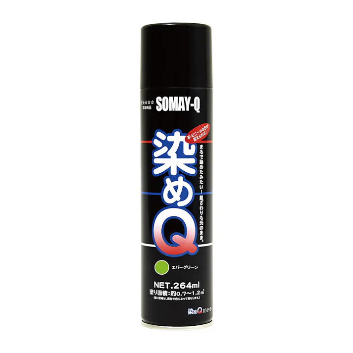 染めQ エアゾール エバーグリーン 264ml【別送品】