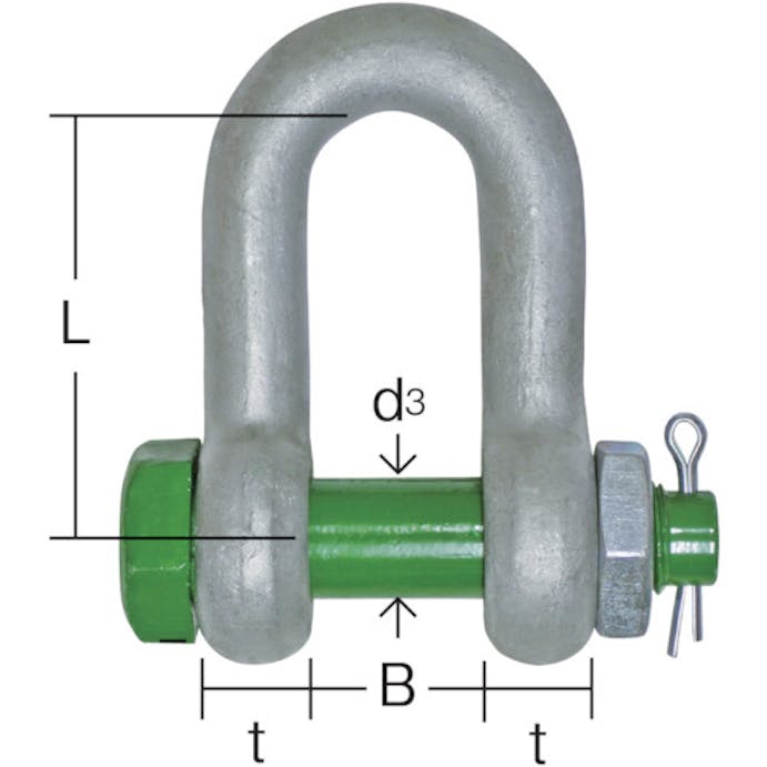 【CAINZ-DASH】大洋製器工業 グリーンピンスタンダードシャックル　ストレート・ボルトナット　３．２５ｔ（３３００１６１） GPSB-3.25T【別送品】