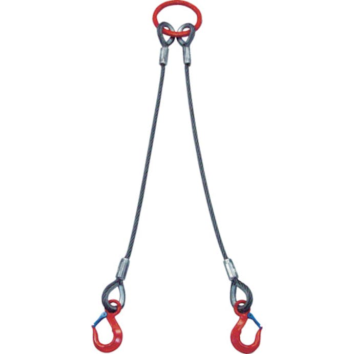 【CAINZ-DASH】大洋製器工業 ２本吊　ワイヤスリング　１ｔ用×１ｍ（１０１１６８５） 2WRS 1TX1【別送品】