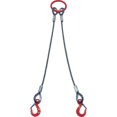 【CAINZ-DASH】大洋製器工業 ２本吊　ワイヤスリング　２ｔ用×２ｍ（１０１１６９１） 2WRS 2TX2【別送品】