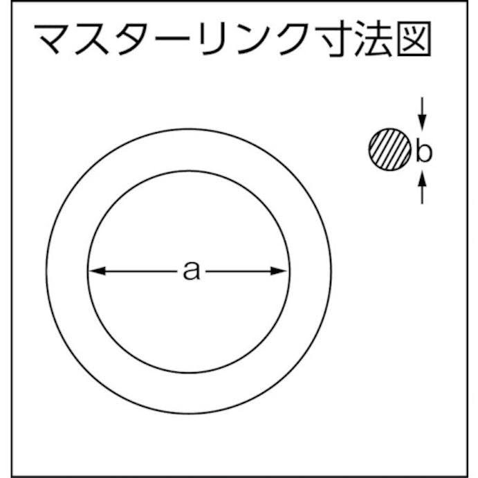 【CAINZ-DASH】大洋製器工業 ４本吊　ワイヤスリング　１．６ｔ用×１．５ｍ（１０１１６９９） 4WRS 1.6TX1.5【別送品】