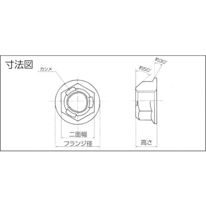 【CAINZ-DASH】紀州ファスナー 三価クロメート　スリーロックナットＦＬ付小形Ｍ８－１．２５φ１７（４００個入） TLNF-08017【別送品】