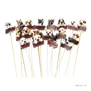 ウェルカムドックピック アソート