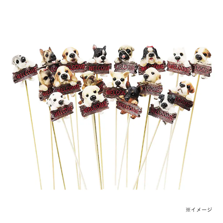 ウェルカムドックピック アソート