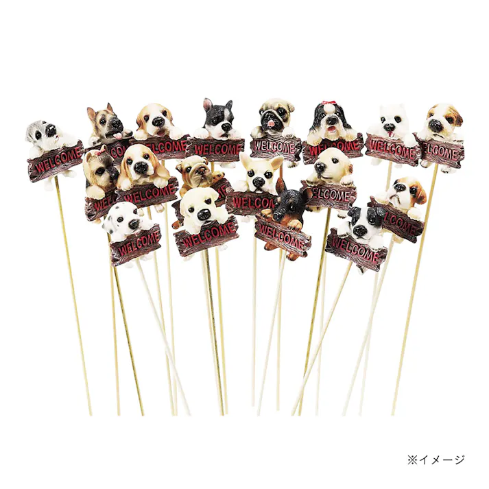 ウェルカムドックピック アソート