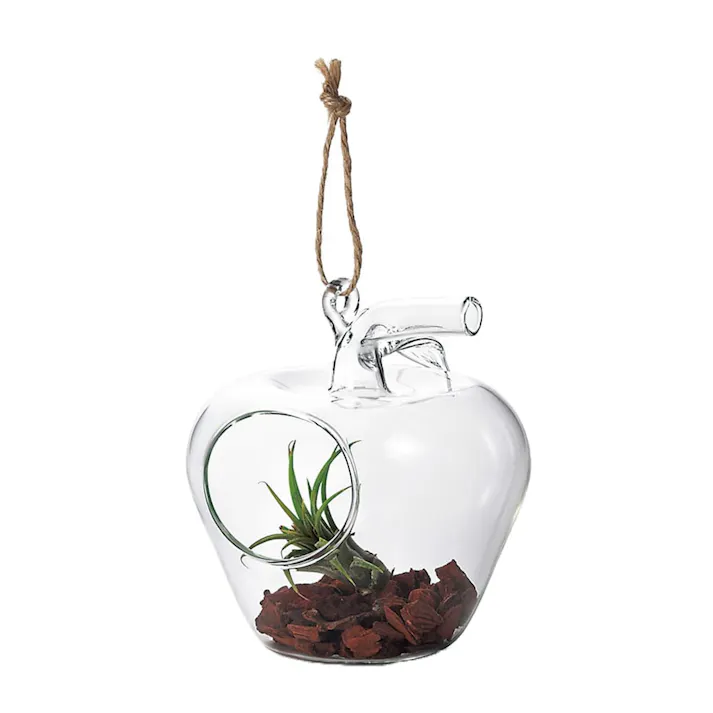 ハンギンググラス アップル S