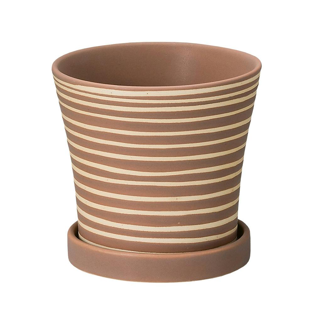 パステルホルベ L ブラウン