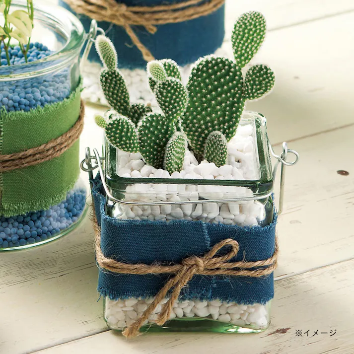 アルモディキューブ S ブルー