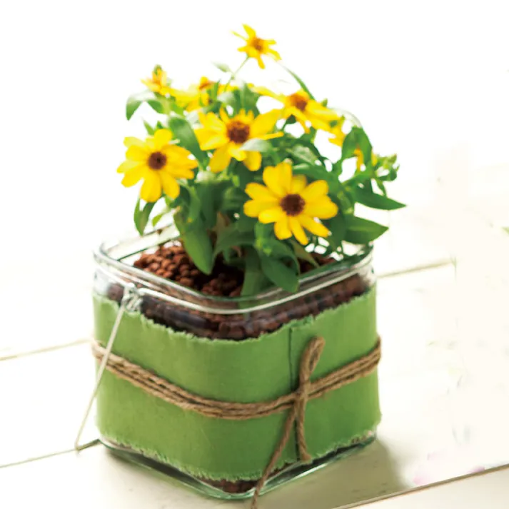 アルモディキューブ S グリーン