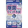 【CAINZ-DASH】本田洋行 除菌できるウェット手袋　１０枚入 E00006【別送品】