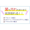 【CAINZ-DASH】本田洋行 除菌できるウェット手袋　１０枚入 E00006【別送品】