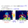 【CAINZ-DASH】本田洋行 超爽快シャワー手袋 6枚入 D00044【別送品】