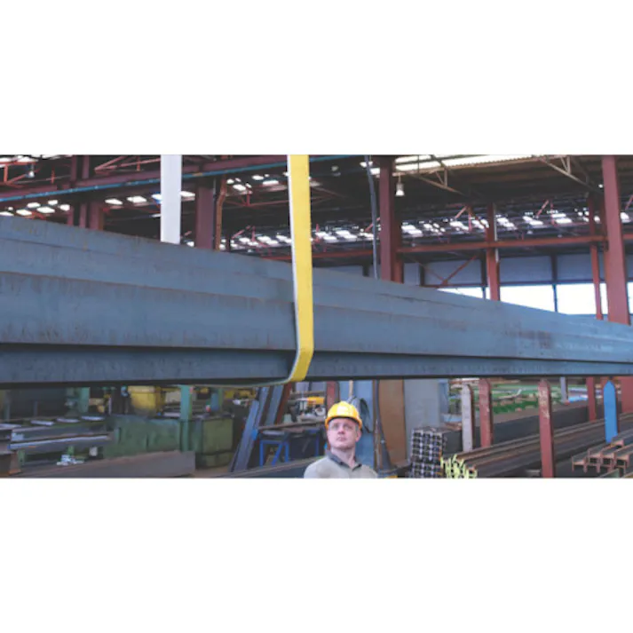 【CAINZ-DASH】SPANSET社 SECUTEX セキュフレックスSX-3T 2M PB-3000-SX-2000MM【別送品】