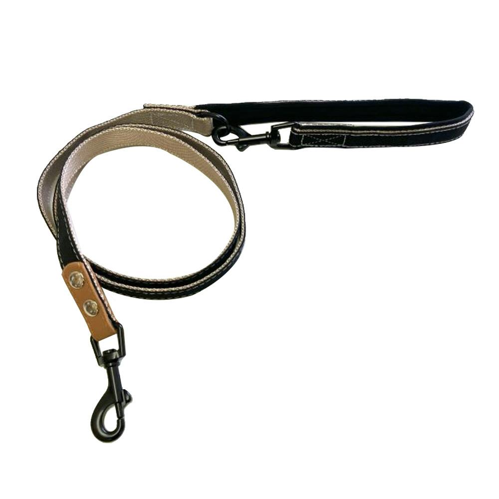 いぬズ アクサエコ エラスティックドッグリーシュ AXAECO（ショックアブソーブ