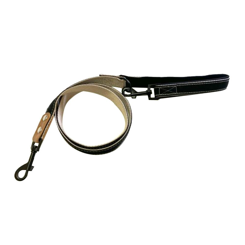 プレインリードM ブラック