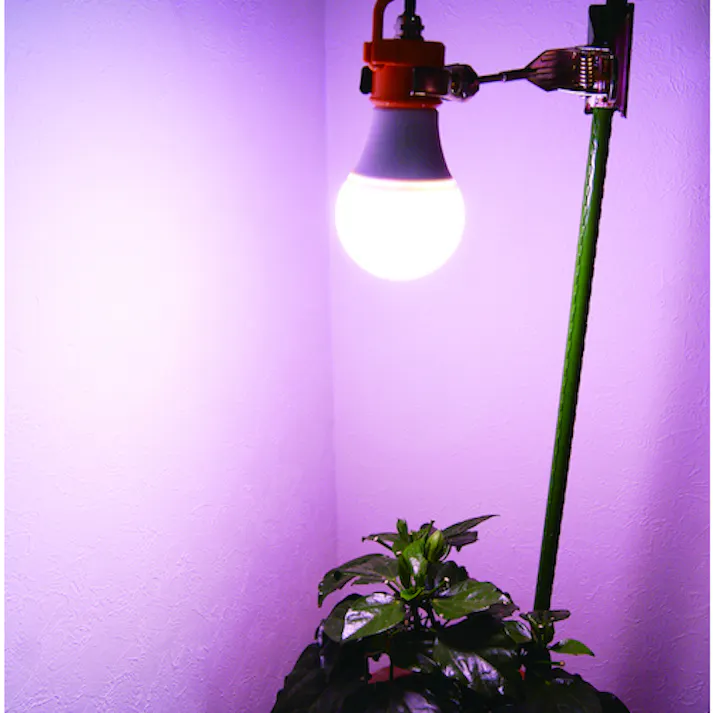 【CAINZ-DASH】富士倉 植物育成用クリップランプ 8W KY-08W-SC【別送品】