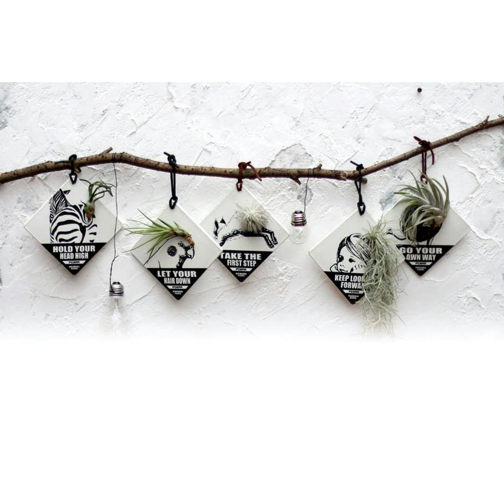 エアープランター マリー ホームセンター通販 カインズ