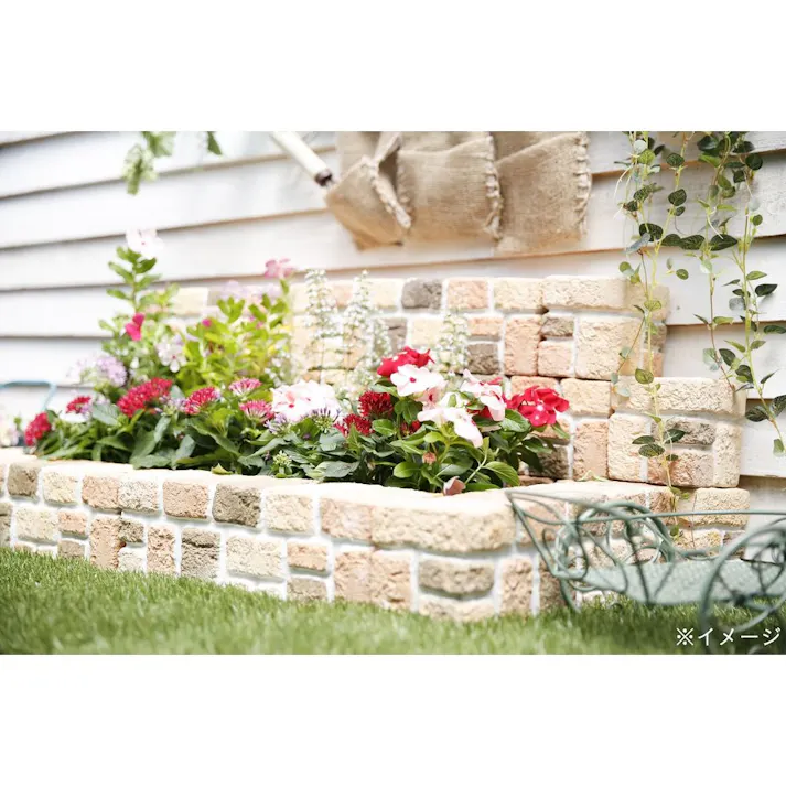 サニーコートエッヂング コーナー