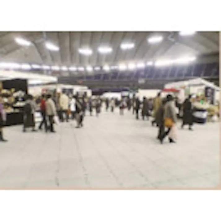 【CAINZ-DASH】エヌ・エス・ピー NSP樹脂ステップ(グレー)(1枚) 8203018-1【別送品】