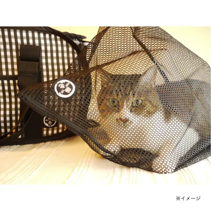 猫壱 おちつくネット