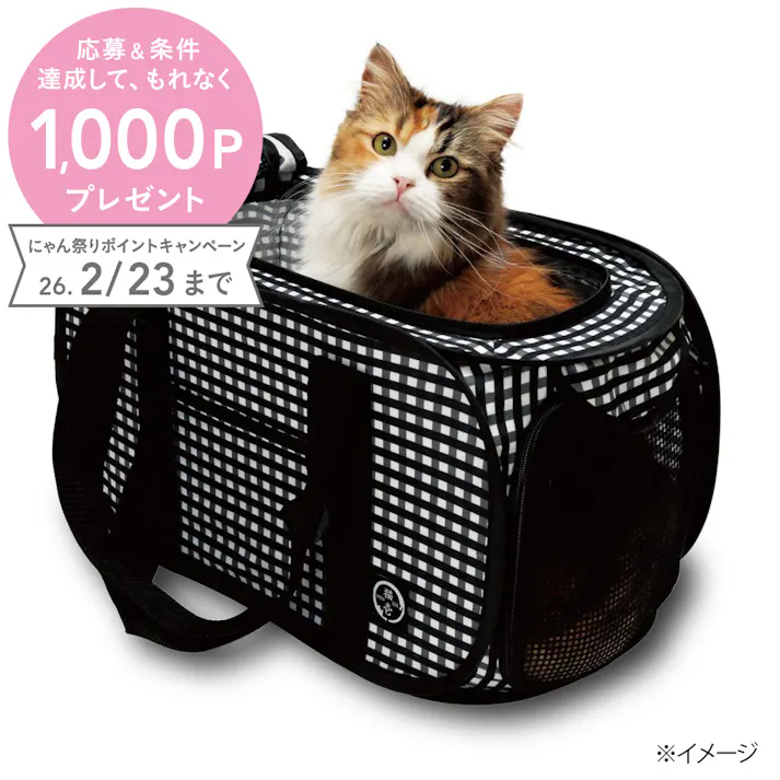 猫壱 ポータブルキャリー 黒
