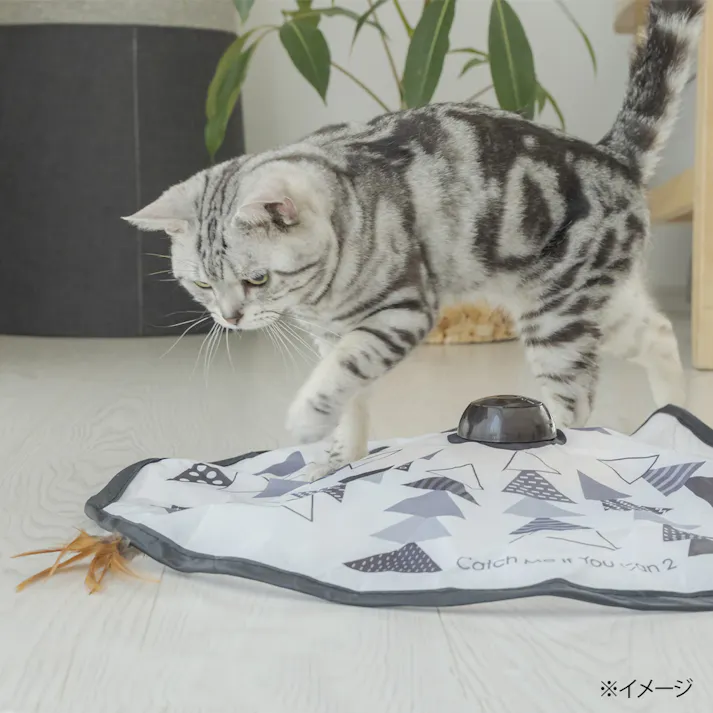 猫壱 キャッチ・ミー・イフ・ユー・キャン2(販売終了)