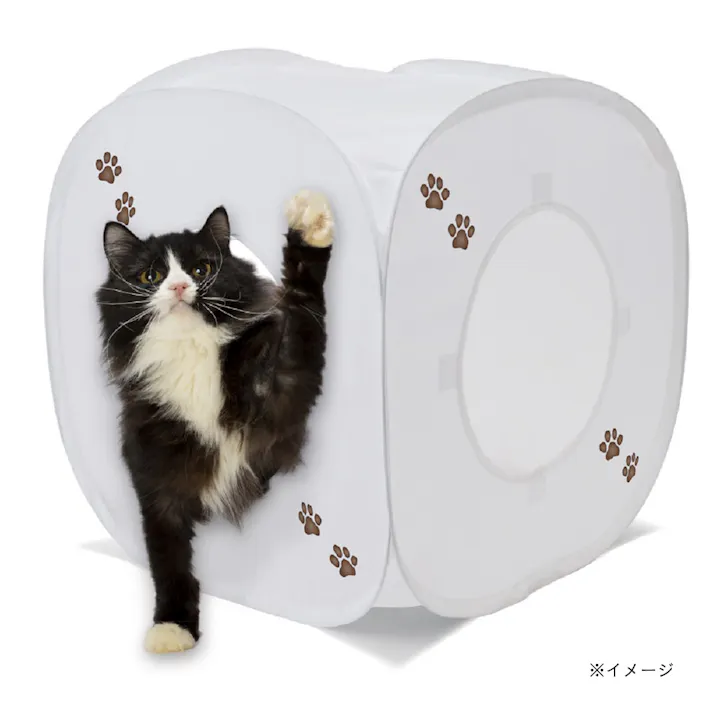 キャットプレイキューブ ホワイト