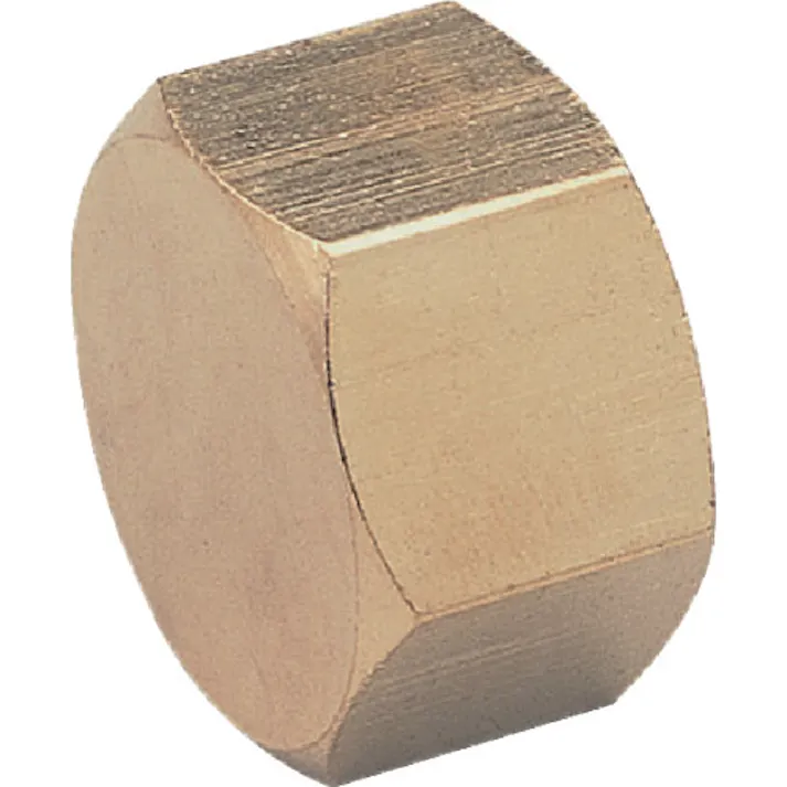 【CAINZ-DASH】アソー 六角キャップ PT1/2(RoHS) NC-1004R【別送品】