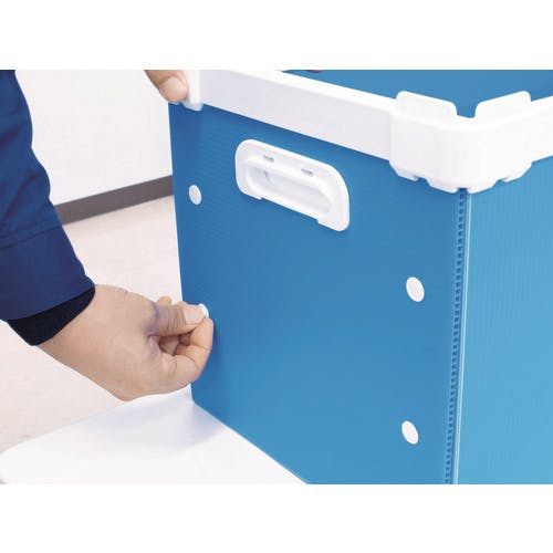 CAINZ-DASH】国盛化学 パンロック φ10×L8 白 （100個入