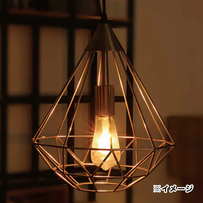 ペンダントライト ワイヤーガード 大 MPN057(販売終了)