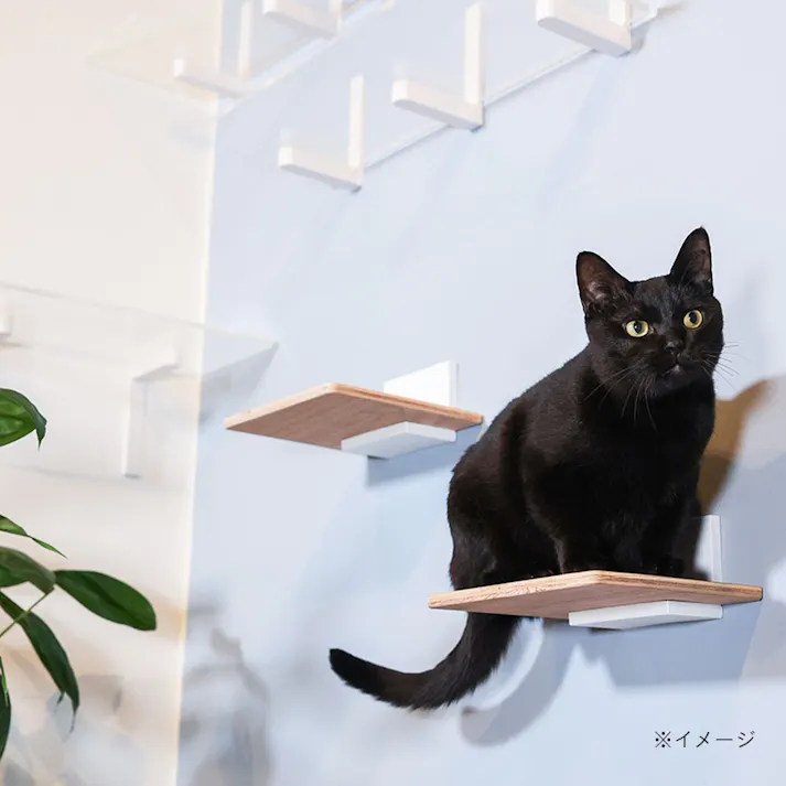 キャットステップキット(パーツホワイト)