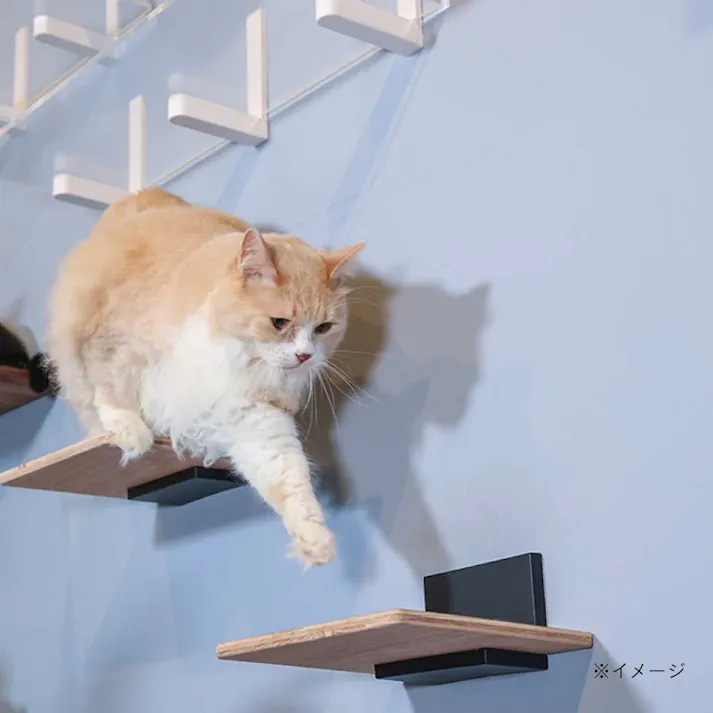 キャットステップキット(パーツブラック)