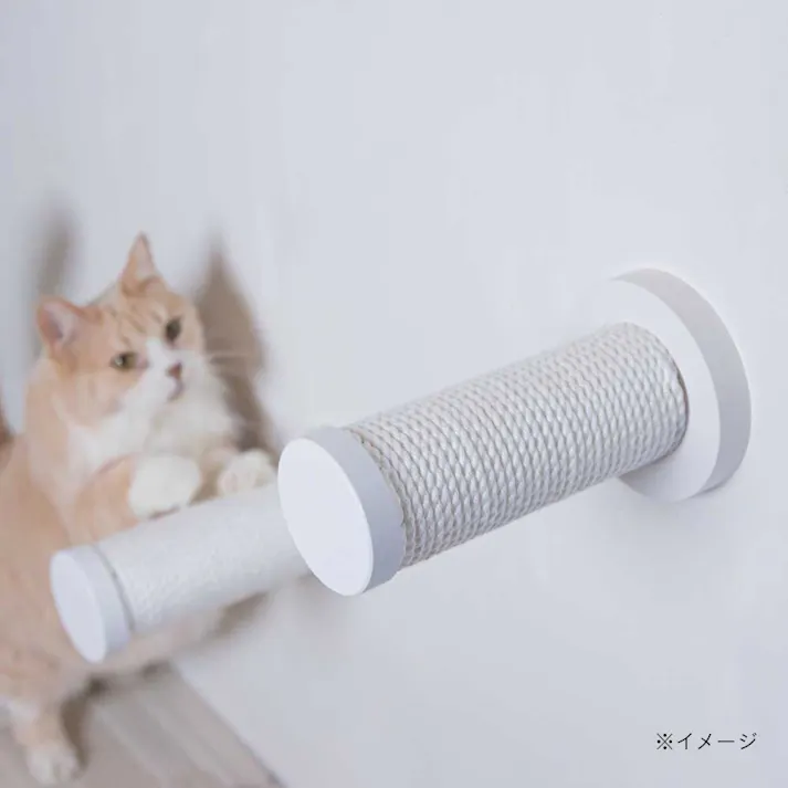 キャットスティック(つめみがきステップ)